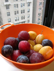 Fresh Red, Yellow and Purple Plums